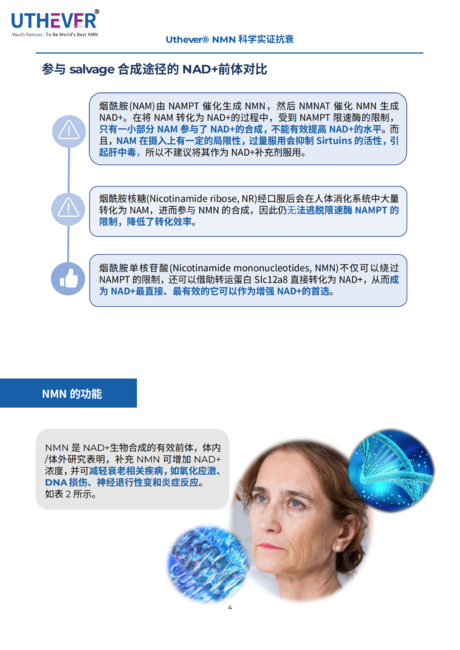 音芙医药&amp;新营养：NMN白皮书